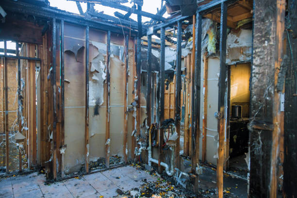 Professional Smoke Damage Removal technician working in Brookhaven, PA